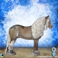 Horse Color:Liver Red Dun Mushroom Sabino 