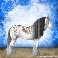 Horse Color:Brown Dun Mushroom Sabino Splash Brindle 