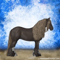Horse Color:Liver Chestnut Sabino Rabicano