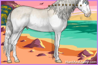 Horse Color:White Spotted Cremello Dun Splash 