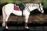 Horse Color:Perlino Roan Dun 