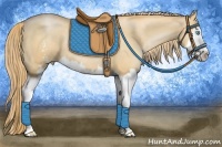 Horse Color:White Spotted Gold Champagne Pearl Splash 
