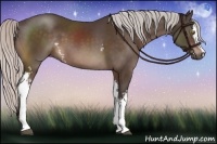 Horse Color:White Spotted Silver Brown Sabino 