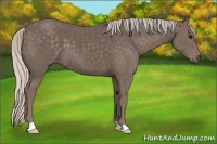 Horse Color:Silver Black 