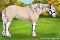 Horse Color:Silver Classic Champagne Dun Splash Frame 