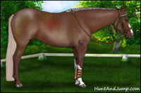Horse Color:Chocolate Silver Bay 