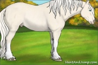 Horse Color:Cremello Rabicano 