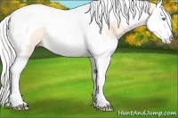Horse Color:Silver Perlino Splash Tobiano Rabicano 