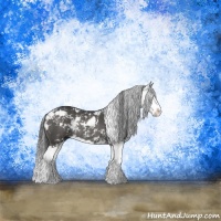 Horse Color:Smoky Black Sabino Splash Rabicano 