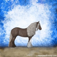 Horse Color:Silver Black Rabicano