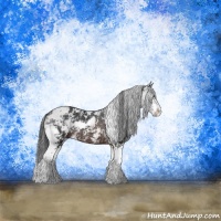 Horse Color:Brown Sabino Rabicano 