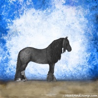 Horse Color:Black Sabino Rabicano