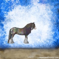 Horse Color:Nacre Black Ice Sabino Rabicano 