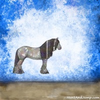 Horse Color:Nacre White Spotted Black Ice Rabicano 