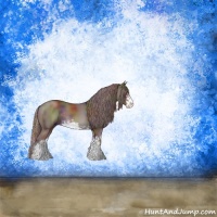 Horse Color:Nacre Chocolate Black Sabino Rabicano 