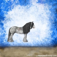 Horse Color:Black Ice Sabino Rabicano 