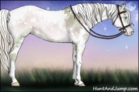 Horse Color:Watercolor White Spotted Chocolate Palomino Pearl Onyx Splash Tobiano Rabicano