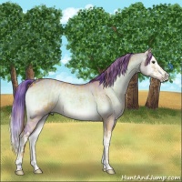 Horse Color:Watercolor Liver Red Dun Onyx  and Watercolor Buckskin Onyx Splash 