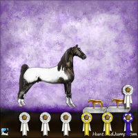 Horse Color:Smoky Blue Onyx Ice Appaloosa Rabicano 