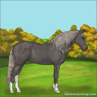 Horse Color:Silver Black 