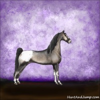 Horse Color:Blue Onyx Snowflake VarnishRabicano 
