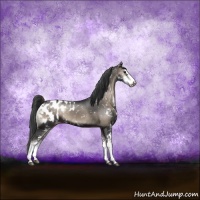 Horse Color:Blue Onyx Sabino Appaloosa