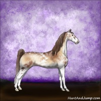 Horse Color:Red Onyx Sabino Snowflake Varnish Rabicano 