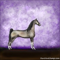 Horse Color:Blue Onyx Sabino Rabicano 