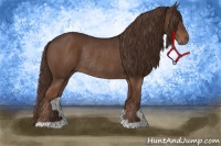 Horse Color:Liver Chestnut Rabicano
