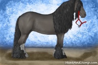 Horse Color:Black Rabicano 
