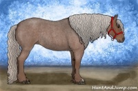 Horse Color:Silver Blue Roan Rabicano 