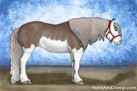 Horse Color:Silver Black Splash Rabicano 