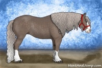 Horse Color:Silver Black Splash Rabicano