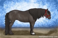 Horse Color:Smoky Black Rabicano