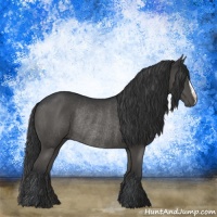 Horse Color:Black Rabicano