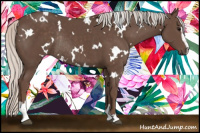 Horse Color:White Spotted Silver Black Sabino Rabicano