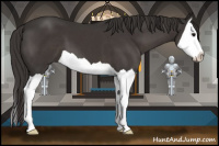 Horse Color:Smoky Black Splash 