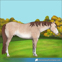 Horse Color:Chocolate Amber Champagne Dun Mushroom  and Chocolate Amber Champagne Mushroom 