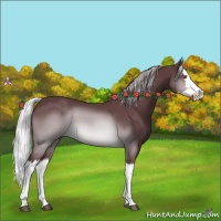 Horse Color:Chocolate Silver Brown Chinchilla Splash 