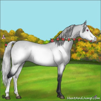 Horse Color:Silver Brown Chinchilla 