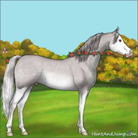 Horse Color:Chocolate Silver Sable Champagne Chinchilla Dun Splash