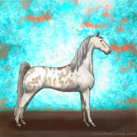 Horse Color:Chocolate Palomino Dun Appaloosa Brindle