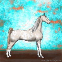 Horse Color:Smoky Creme Dun Tobiano Appaloosa 