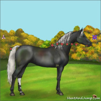 Horse Color:Liver Chestnut Mushroom 