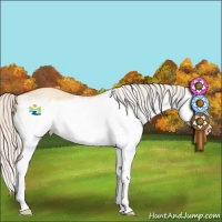 Horse Color:Silver Classic Champagne Dun Splash Frame 