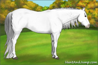 Horse Color:White Spotted Black Ice 