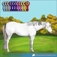 Horse Color:White Spotted Classic Cream Champagne Ice Rabicano 