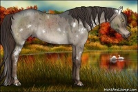 Horse Color:White Spotted Liver Red Dun Roan