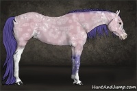 Horse Color:Watercolor Buckskin Ice Sabino 