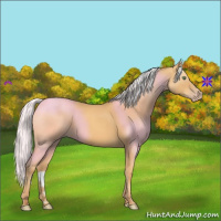Horse Color:Silver Sable Cream Champagne 